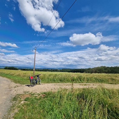 Circuit VTTAE n°9 (rouge) - Le bocage de Foissiat