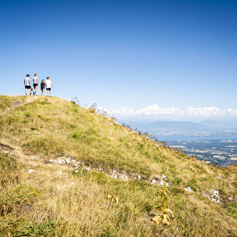 Petit Mont-Rond - GEX