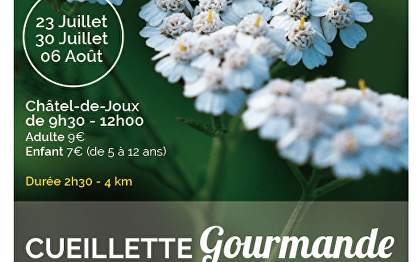 Sortie nature : Cueillette gourmande