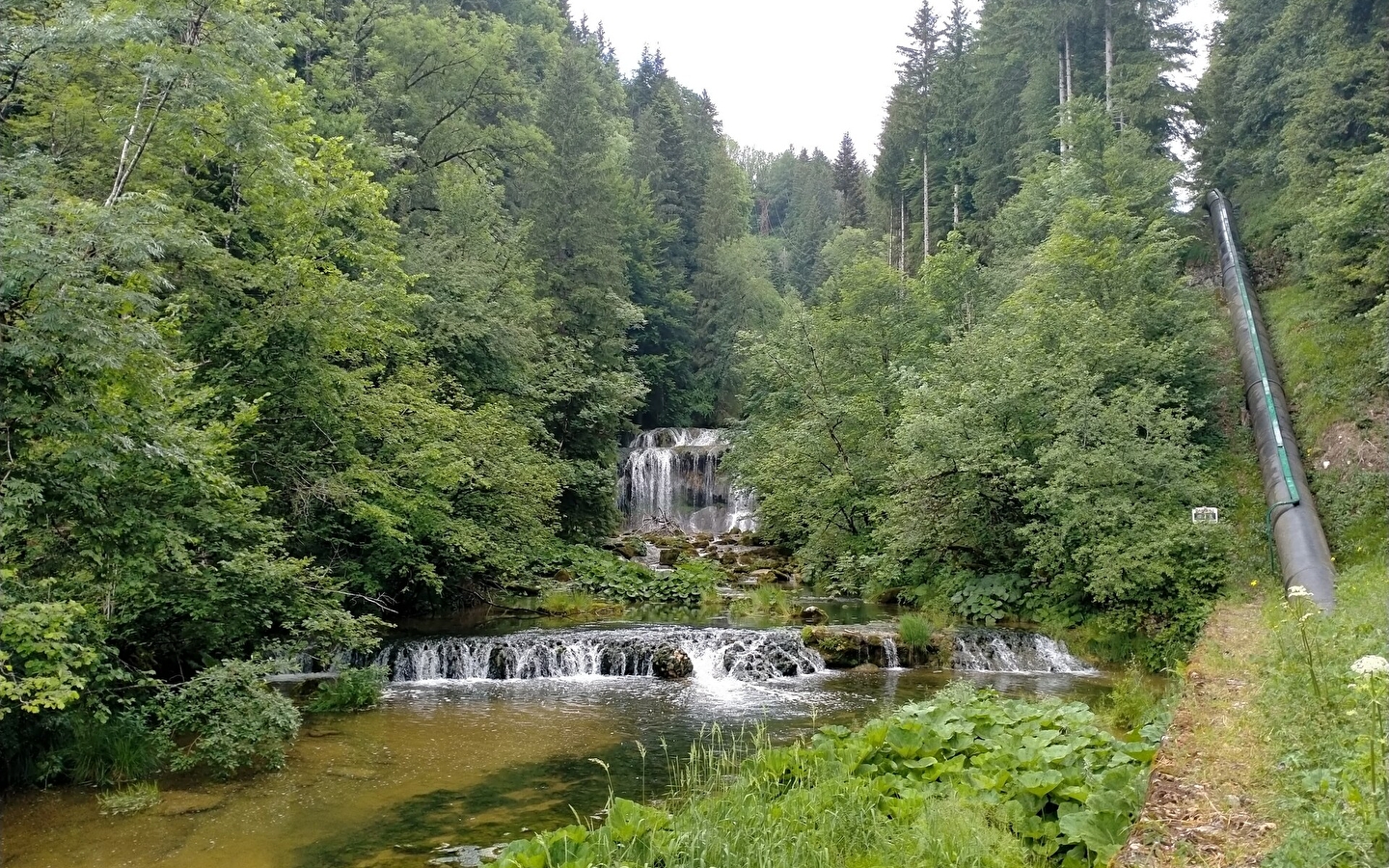Source de l’Ain et cascade du Moulin du Saut