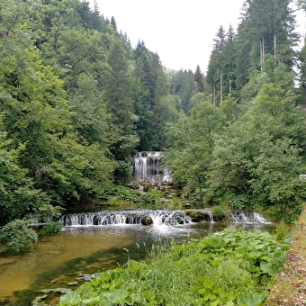 Source de l’Ain et cascade du Moulin du Saut - CONTE