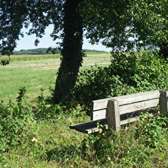 Chemin Vert - DEVECEY