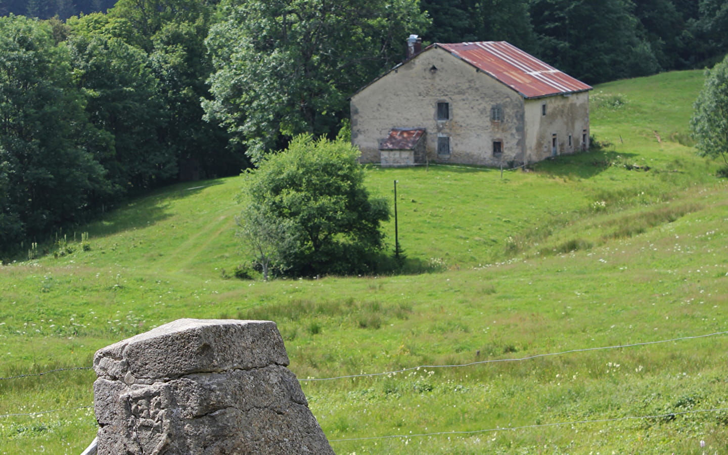 La Borne au Lion