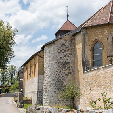 Nozeroy, la Cité des Chalon