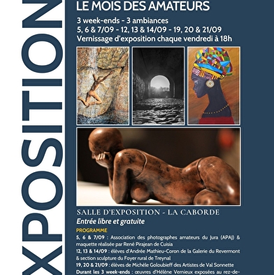Le mois des amateurs d'Art 