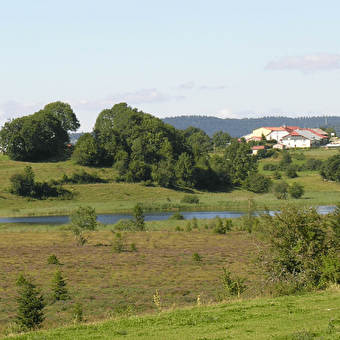 Circuit de découverte du lac des Rouges Truites - LAC-DES-ROUGES-TRUITES
