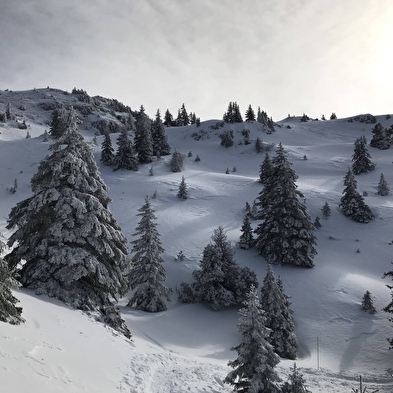 Sentier raquettes de Lélex au Crêt de la Neige