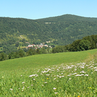 Les Cuisiniers - MORBIER