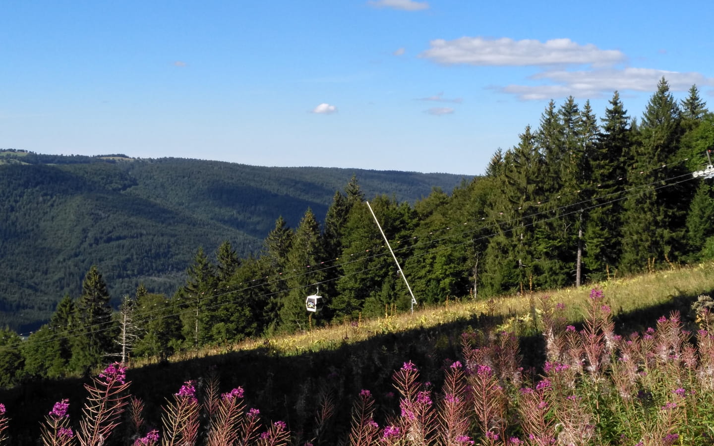 Télécabine la Catheline