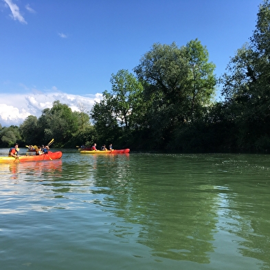 Cohésion et aventure en pleine nature