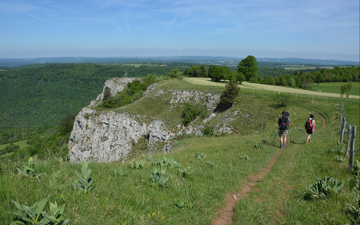 Roche de Hautepierre