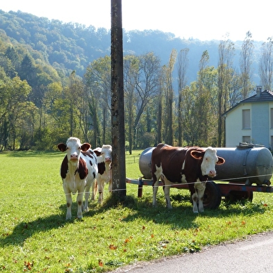 Mont de Guillon