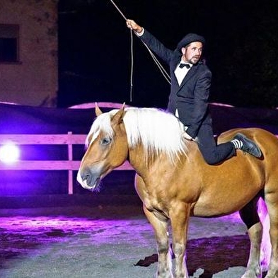 Spectacle équestre “Les Comtois en Folie”
