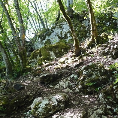 Mont Dommage