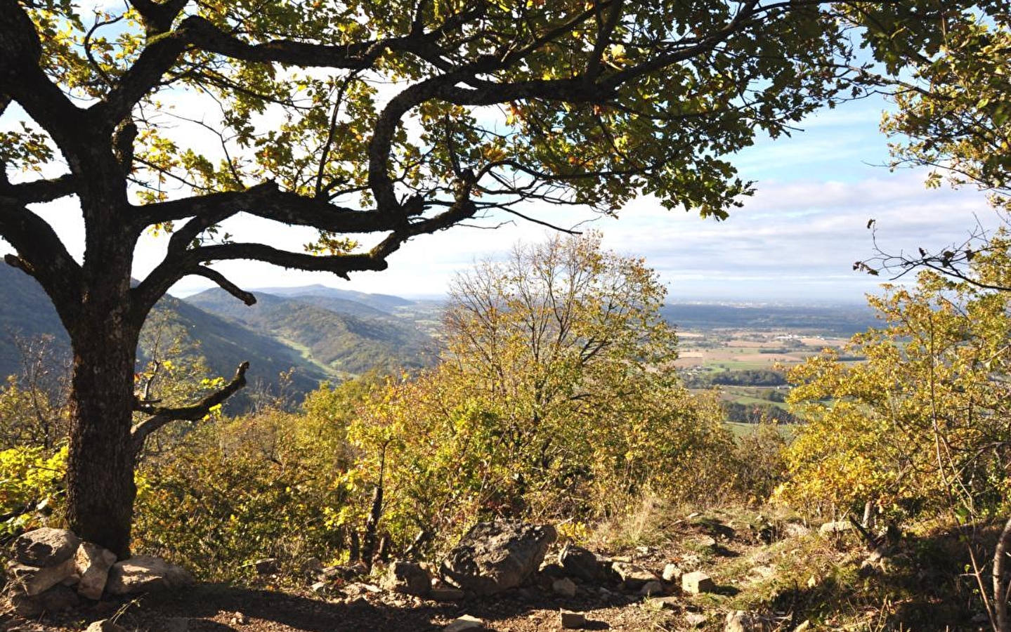 Balade - Chapelle et ruines du château de Montfort
