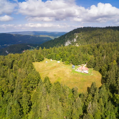 La Loge à Ponard