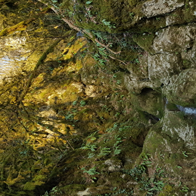 Randonnée : le sentier du Buizin