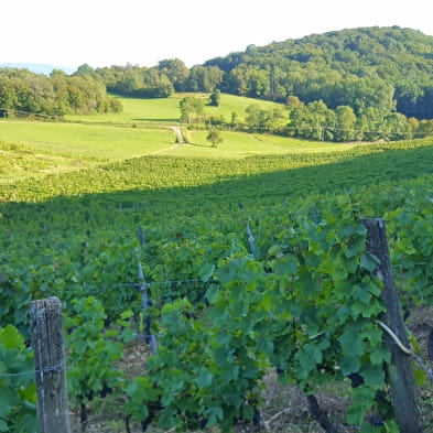 La Cuverie