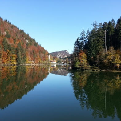 Vedettes Panoramiques du Saut du Doubs