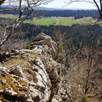 Vy aux Moines - Variante Rochers du Cerf - PAYS-DE-MONTBENOIT