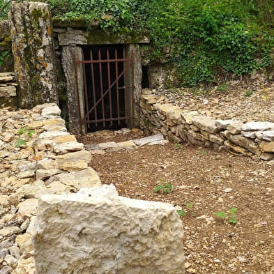 Les anciennes carrières de Villebois, ENS de l'Ain