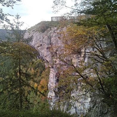 La Cendrée