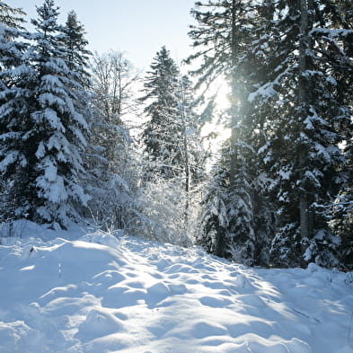 Valorse - Piste rouge de ski nordique