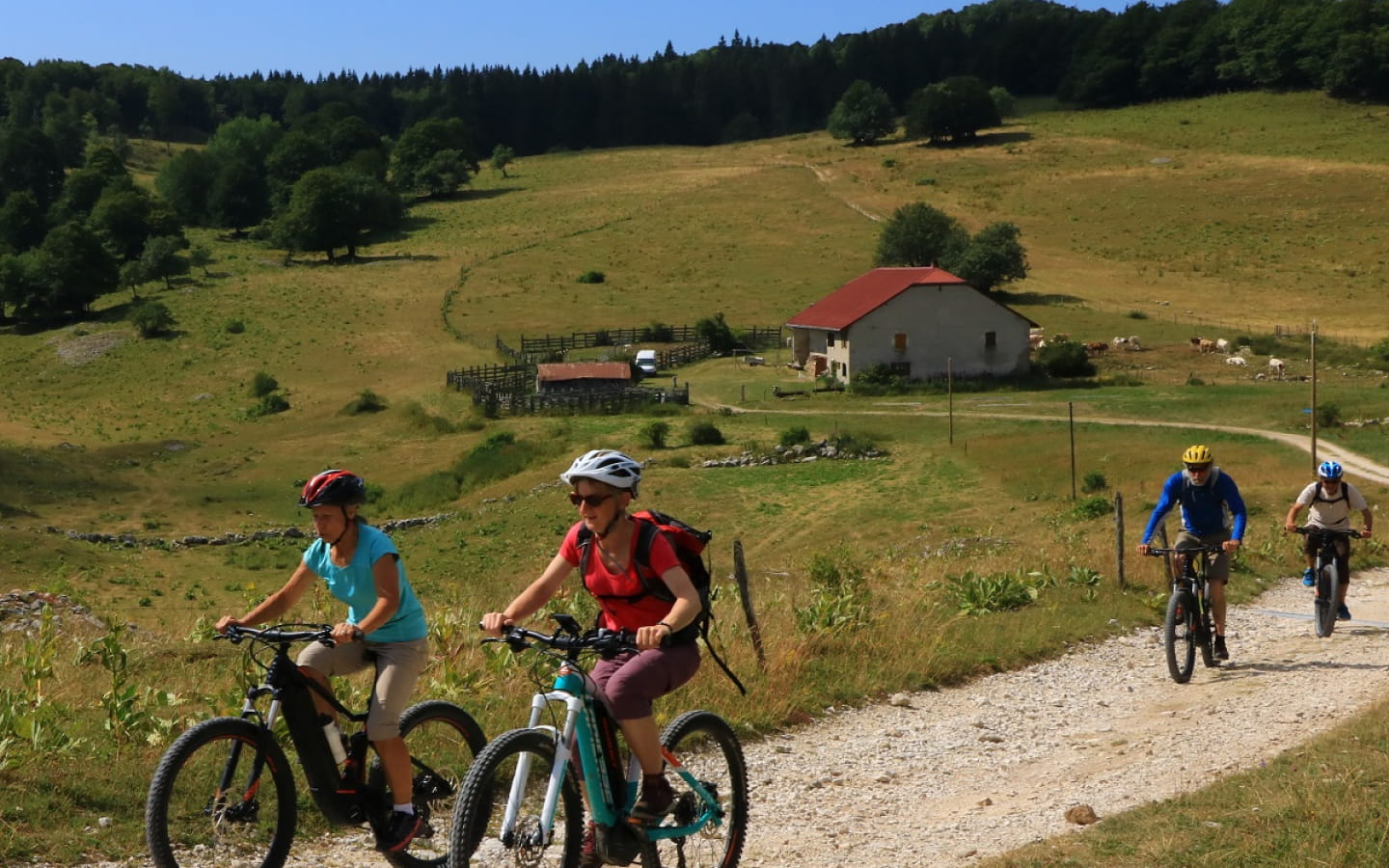 Circuit 14 Les Plans d'Hotonnes - Espace VTT-FFC du Bugey