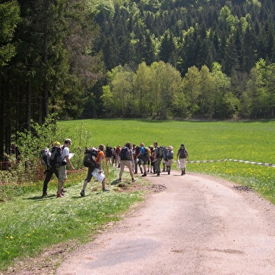 Initiation à l'orientation avec les Demoiselles du Plateau