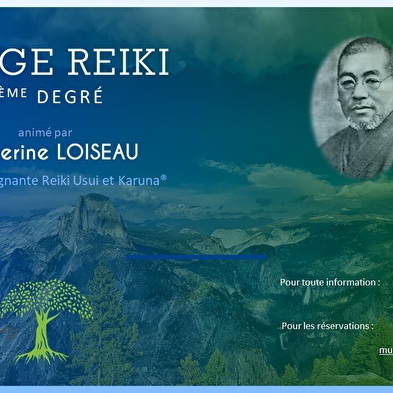 Stage de Reiki Usui niveau 3