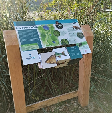 Sentier d'interprétation du lac de Virieu le Grand