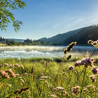 La Grande Traversée du Jura à pied - GTJ pédestre - CERNIEBAUD