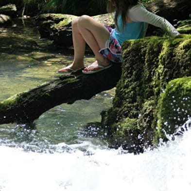 Fontaine-Noire, ENS de l'Ain