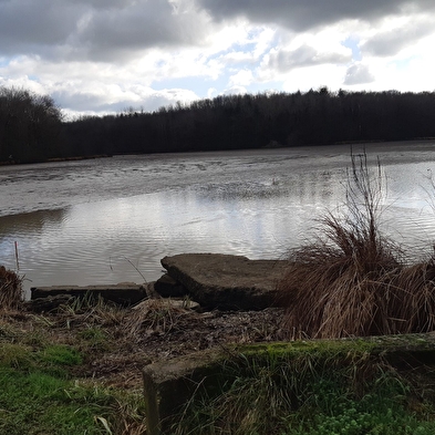 Etang des Baisses et ferme de Bévey