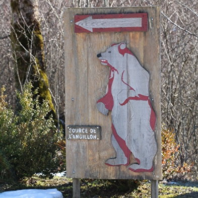Source de l'Angillon