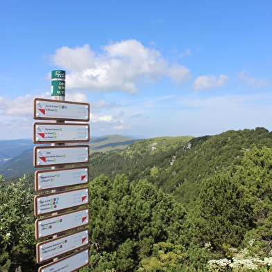 Randonnée pédestre : les hauts sommets depuis Lélex