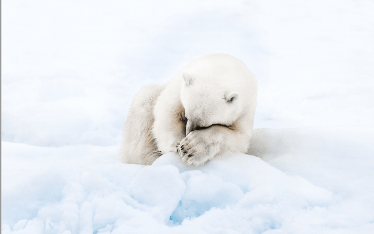 Exposition 'Portraits de glaces' - Photographies de Morgane Monneret