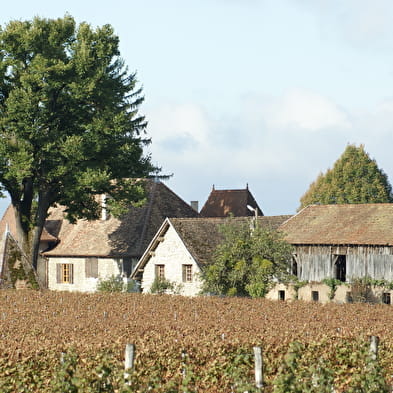 Caveau Maison Guigard