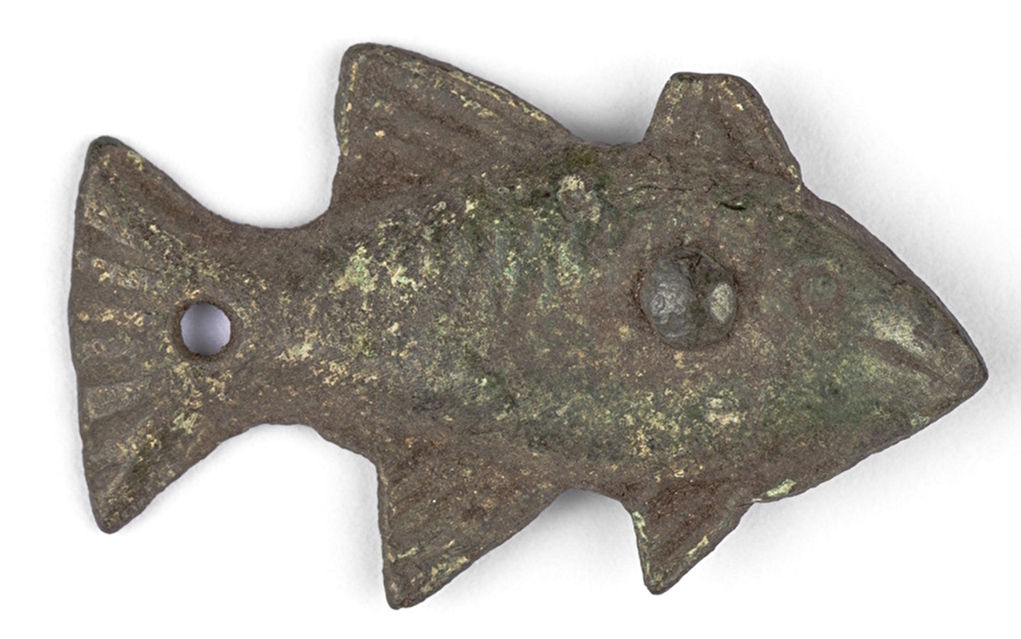 Visite flash spécial poisson d'avril !