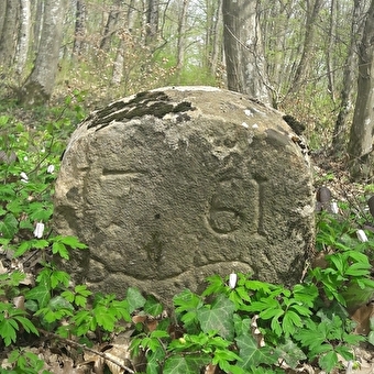 Bois Bourgeois - MONTBELIARD