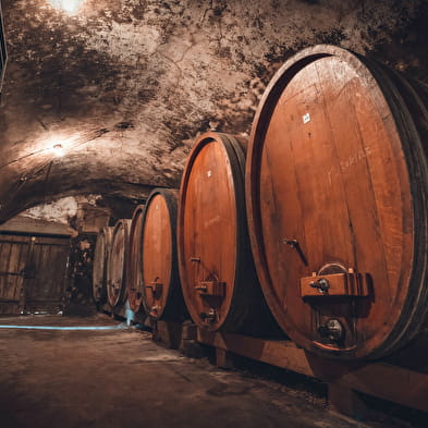Domaine Bourdy