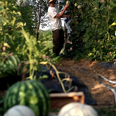 Visite d'une exploitation de fruits bio - Le Champ des Gourmands