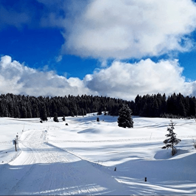 Piste noire de ski de fond de Lachat : Les Moussières