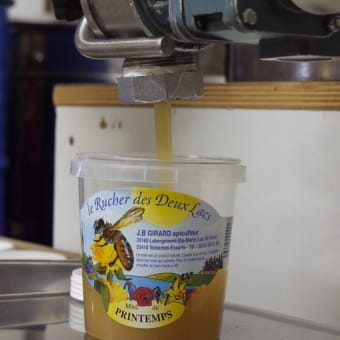 Le Rucher des 2 lacs - LABERGEMENT-SAINTE-MARIE