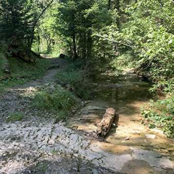 Randonnée - La vallée du Landeyron - MONTREAL-LA-CLUSE