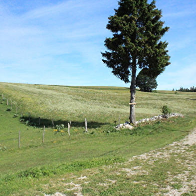 Creux Maldru