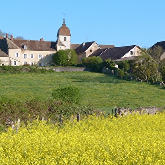 Vallée de l'Ognon - THUREY-LE-MONT