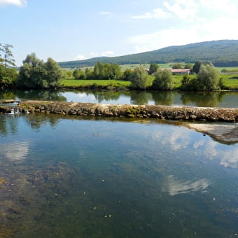 Le circuit de la Biche - OUNANS