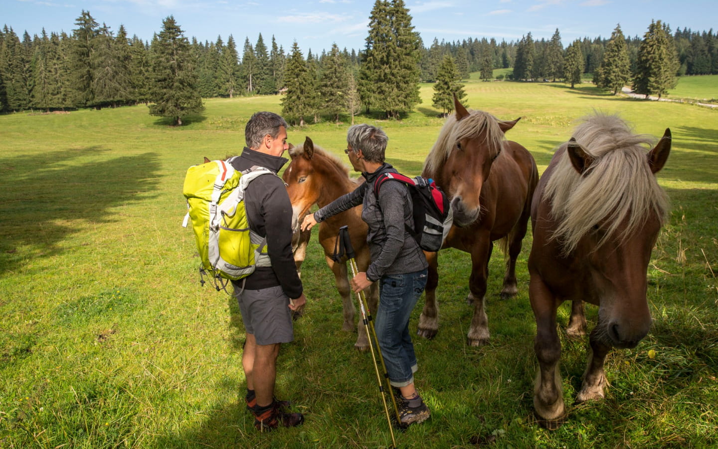 Sur les chemins de la contrebande Franco-Suisse