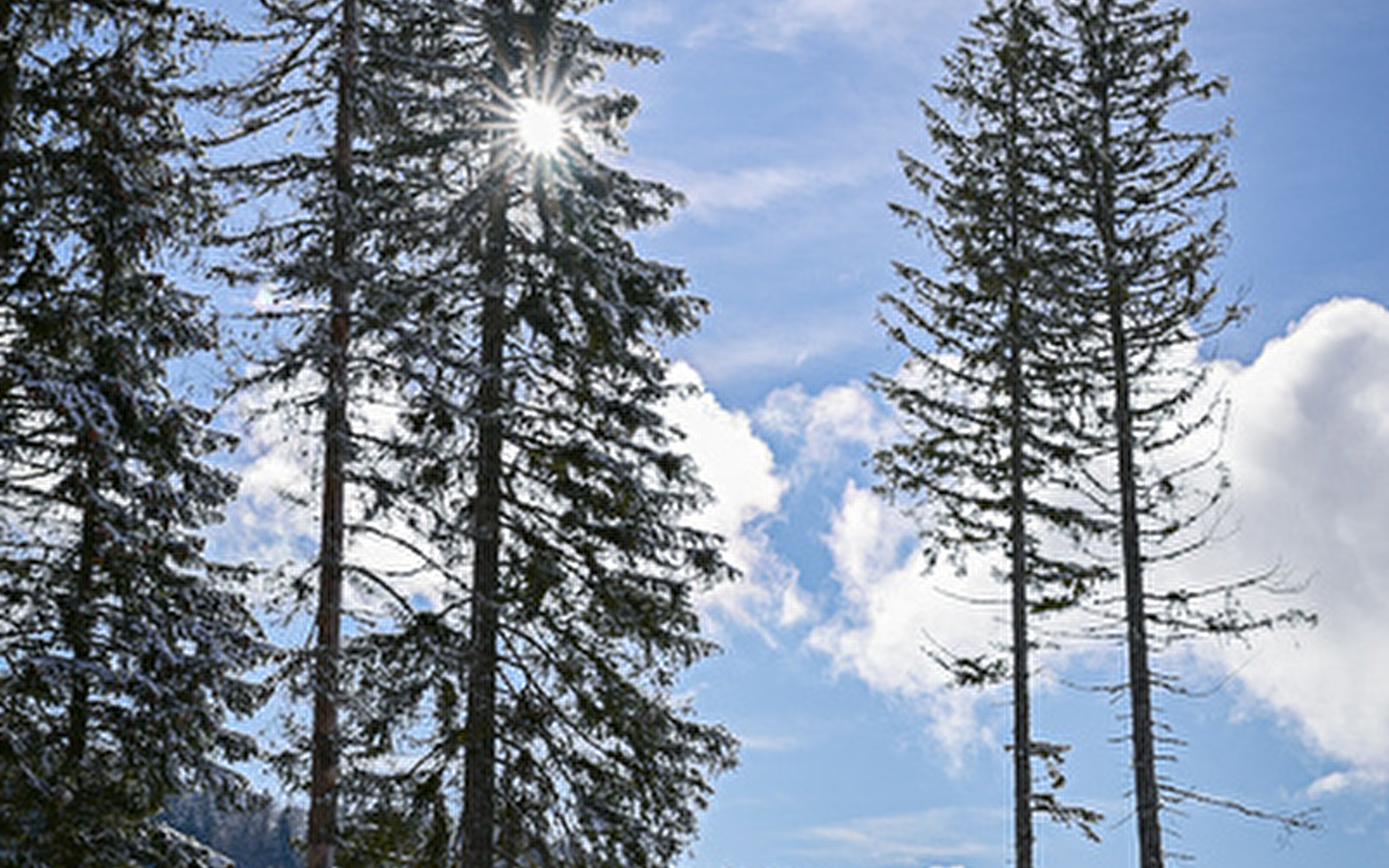 Site Nordique de Chapelle des Bois